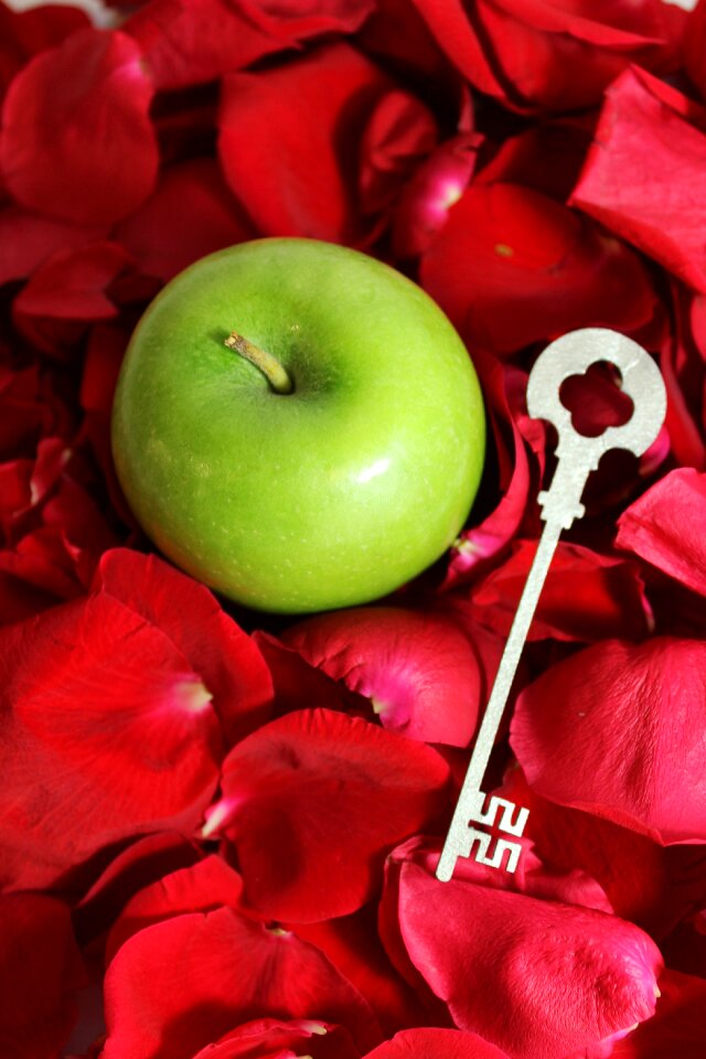 Petal fruit nature