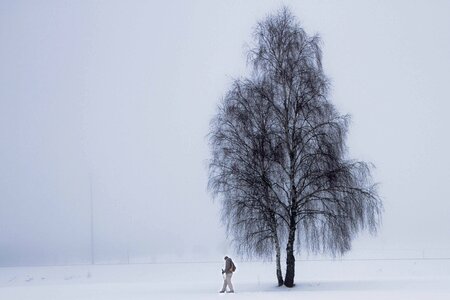 Snowshoeing trees mood photo