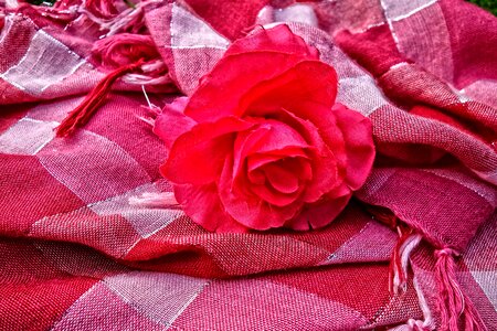 Woven rose accessories photo