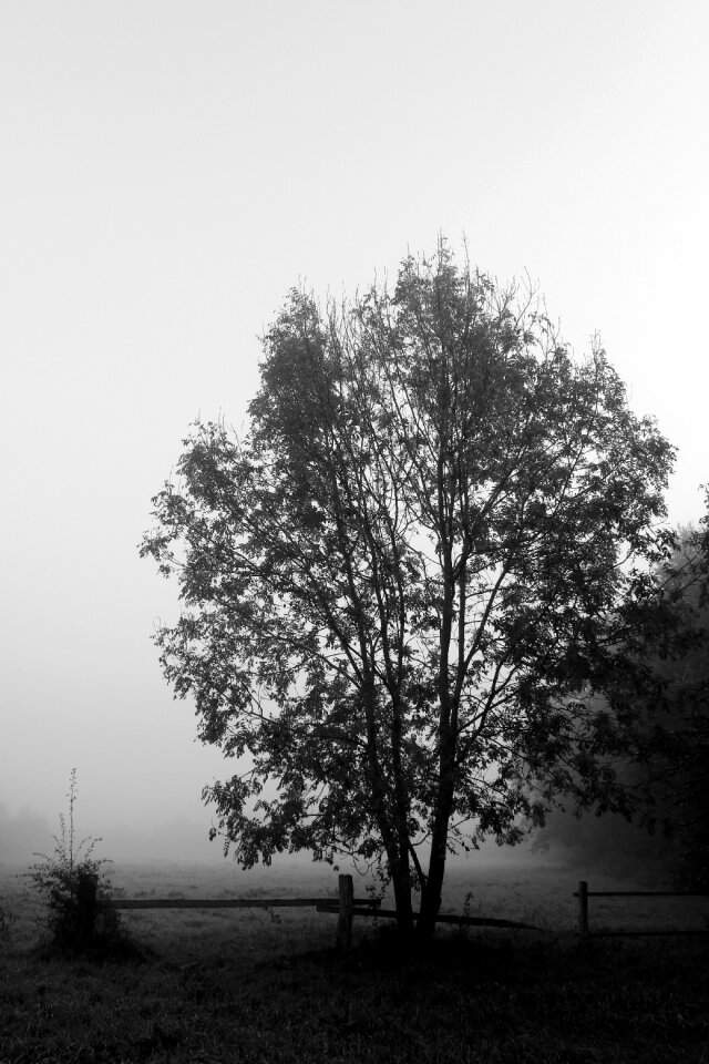 Landscape autumn atmosphere