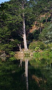 Water sunshine green