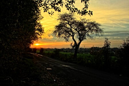 Road twilight landscape