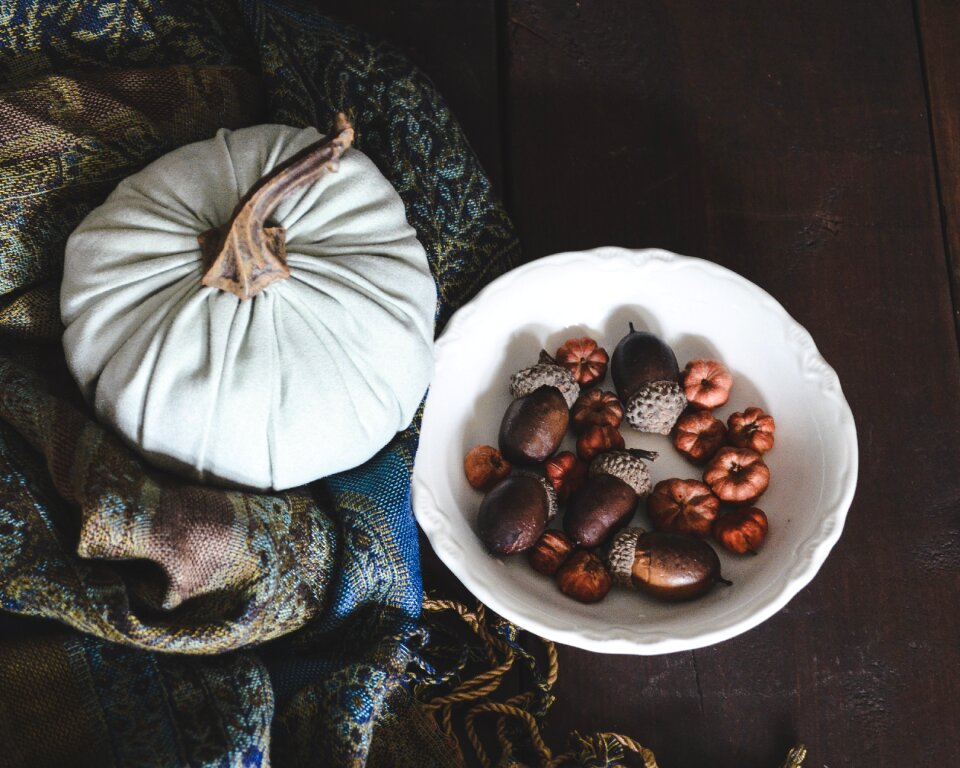 Texture fabric pattern acorns