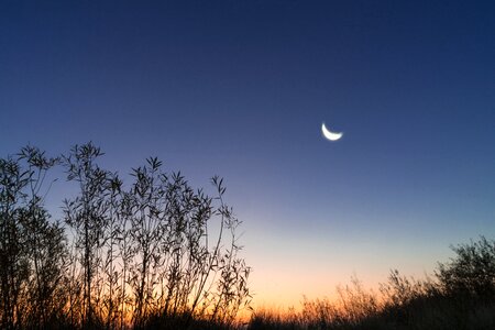 Natural spectacle romantic crescent moon photo