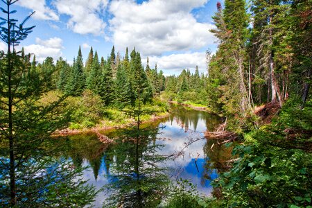 Lake landscape