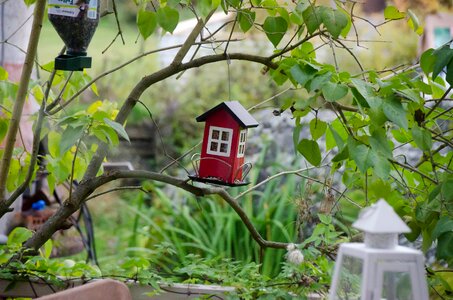 Miniature house red house green photo