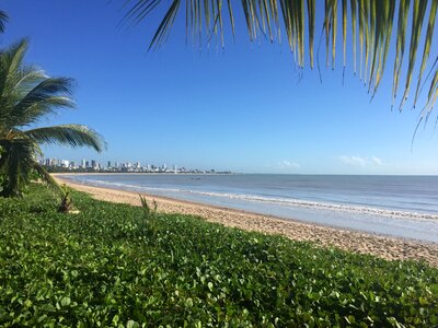 Beach recife mar