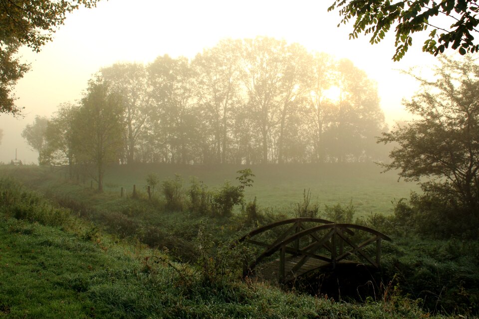 Sunrise nature landscape