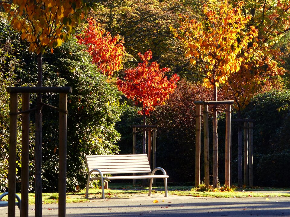 Away golden autumn leaves