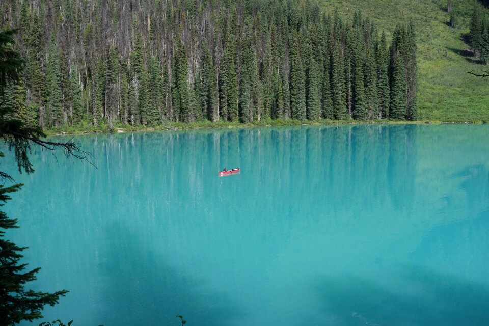 Canoeing shadow trees