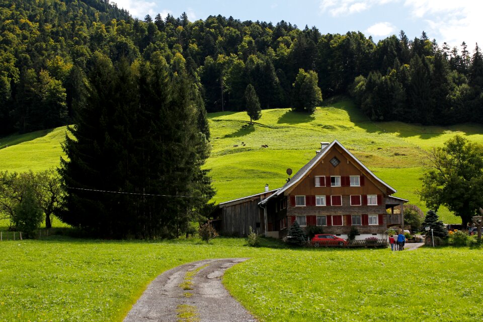 Green mountain hut nature
