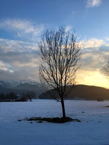 Nature landscape alpine