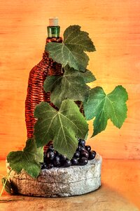 A bunch of vinodelchesiky grape leaves