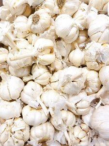 Healthy fresh vegetable