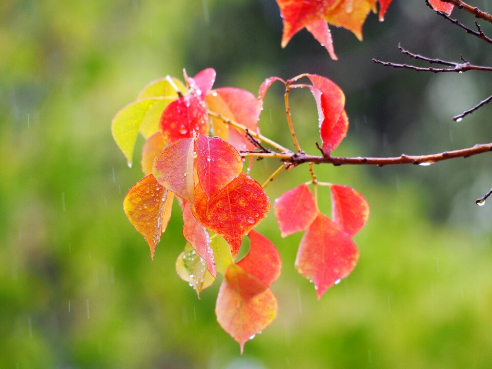 Sunlight vibrant sunny