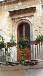 Door plants chipped paint