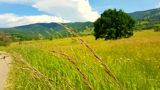 Lan hills field photo