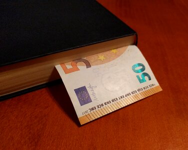Money euro wood