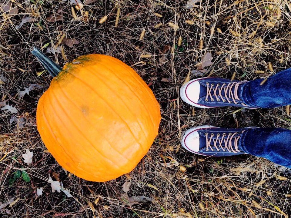 Halloween converse young