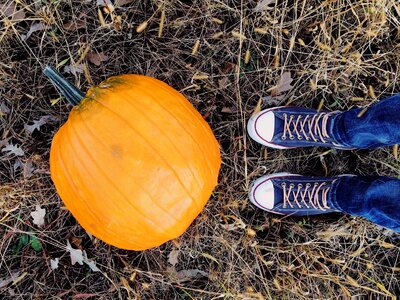 Halloween converse young