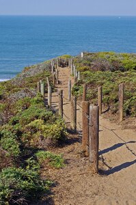 Wood path nature