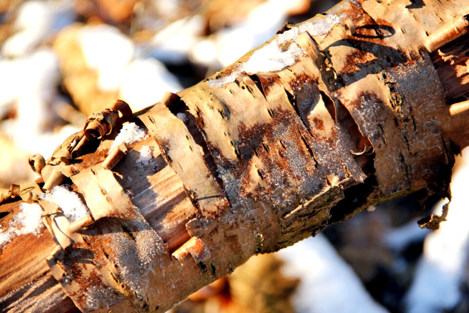 Season landscape frost