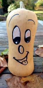 Pumpkin one festival