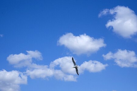 Clouds blue white
