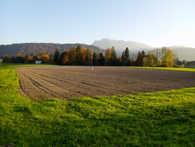 Field agriculture bird control