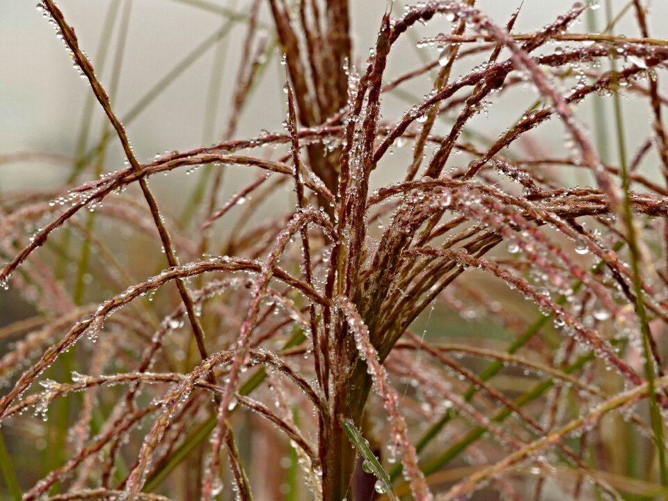 Drops hazy weather