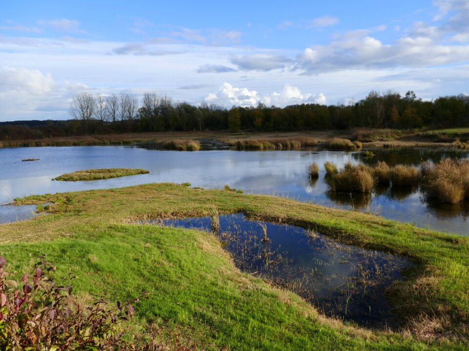 Landscape habitat environment