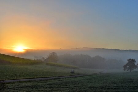 Sunrise fog golden autumn photo