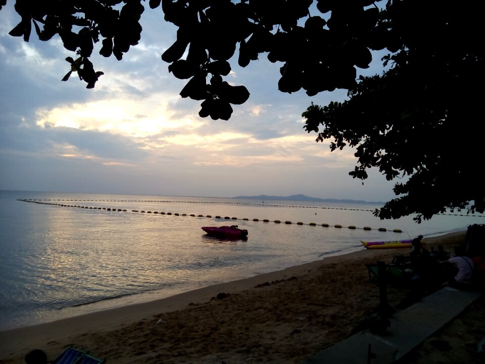 Evening miss grief