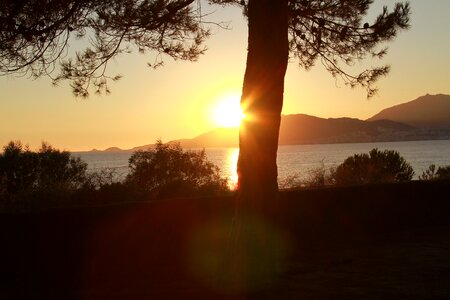 Sunset marinca corsican