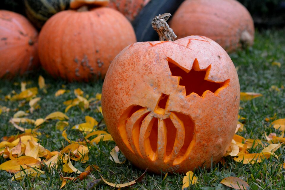 Halloween orange autumn