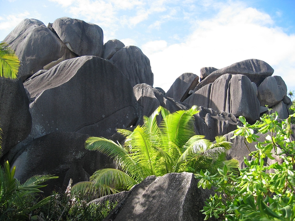 Tropics landscape rock