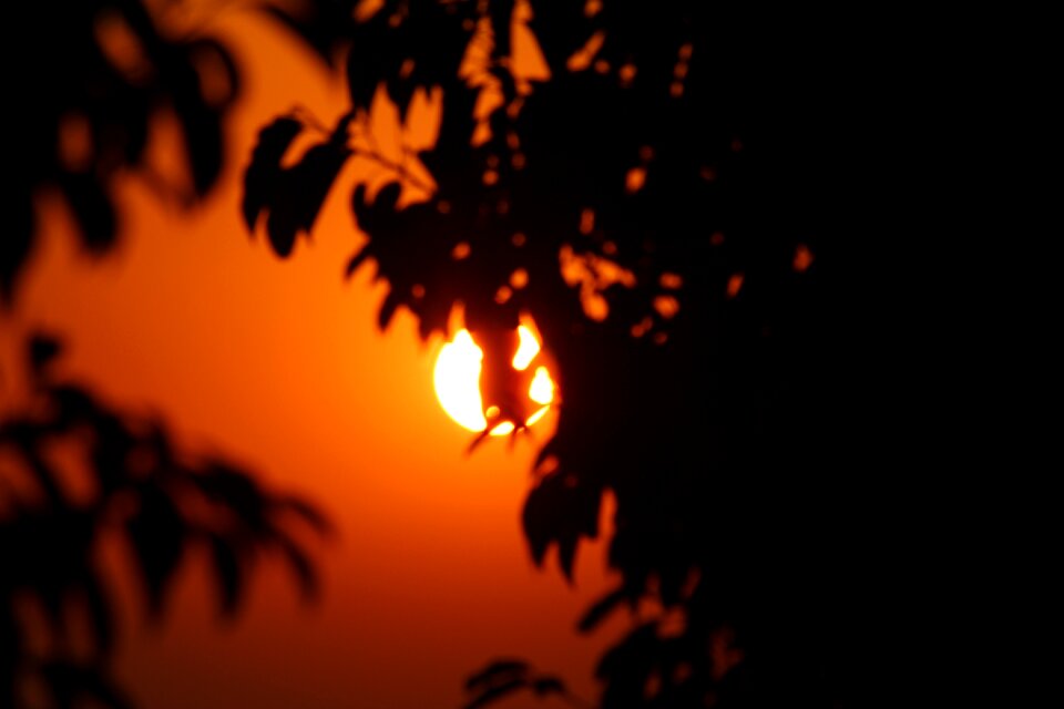 Nature travel silhouette