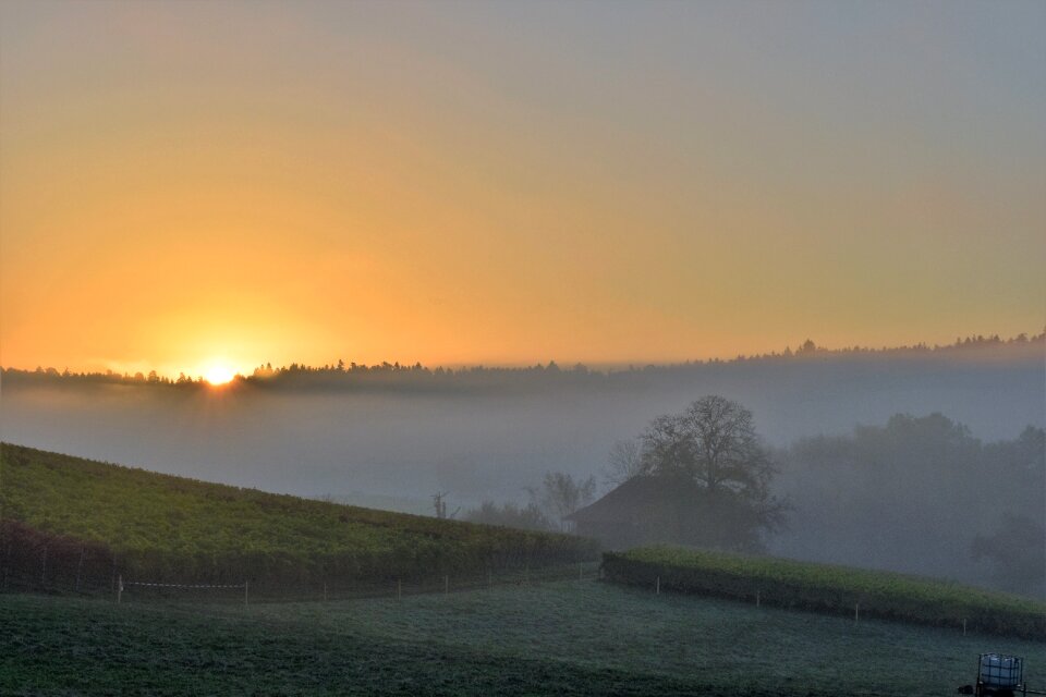 Sunrise fog golden autumn