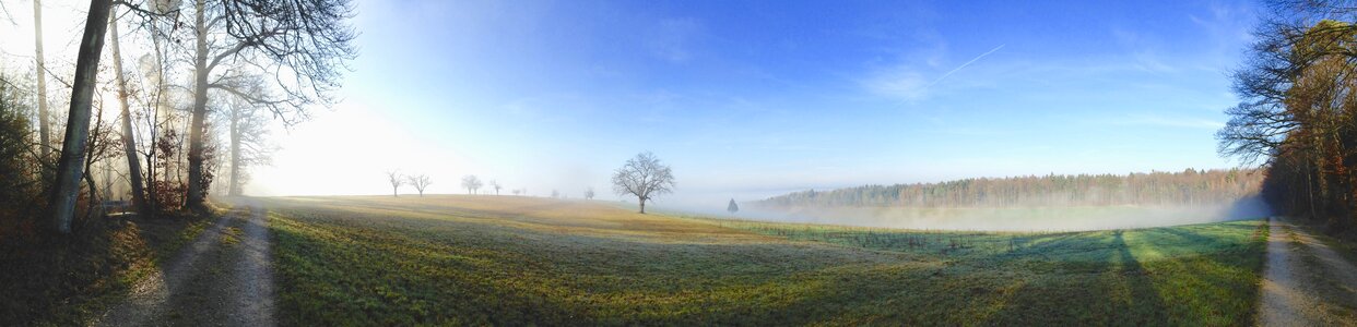 Landscape nature winter