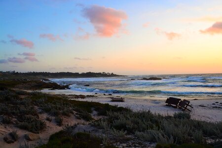 Grove beach