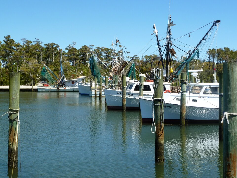 Harbor seafood fisherman