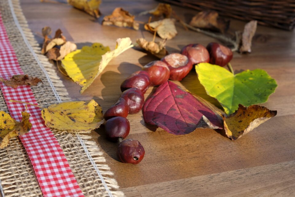 Fall foliage decoration deco