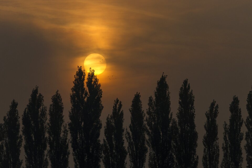 Morgenstimmung nature skies