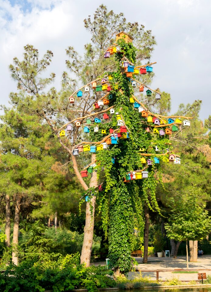 Colorful artificial outside art