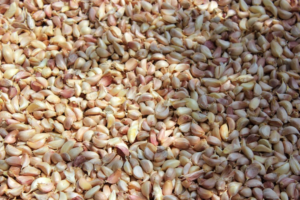 Garlic herb Free photos