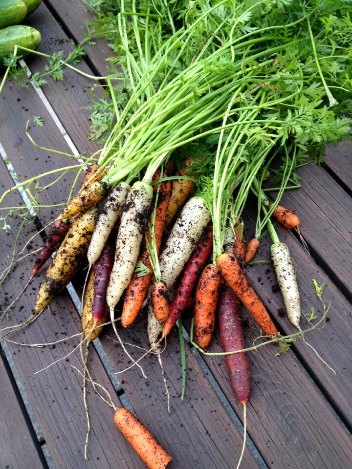 Farmers' markets mat vegan
