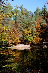 Autumn autumn mood lake