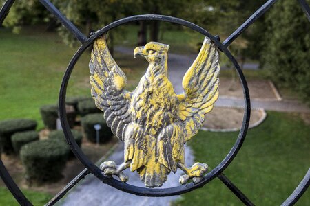 Iron forge eagle barrier