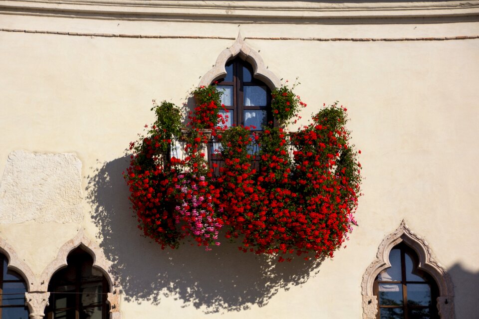 Facades flower box house facade