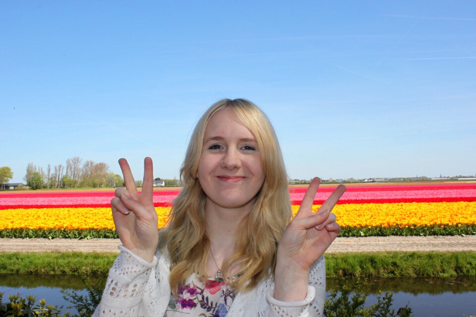 Netherlands tulip fields spring